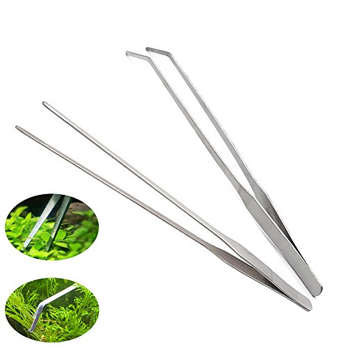 Tweezers Curved